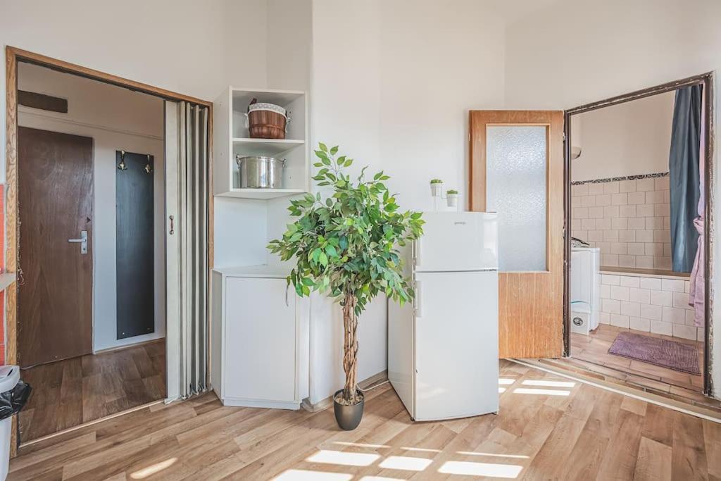 Carolina'S Romantic Apartment Hradec Králové Екстериор снимка